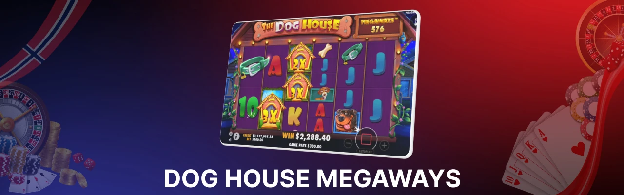 Dog house megaways bonus